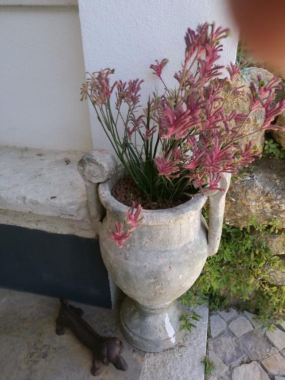 阿泽陶 Arrabida Heritage @Portugal Luxury Retreat旅馆 外观 照片