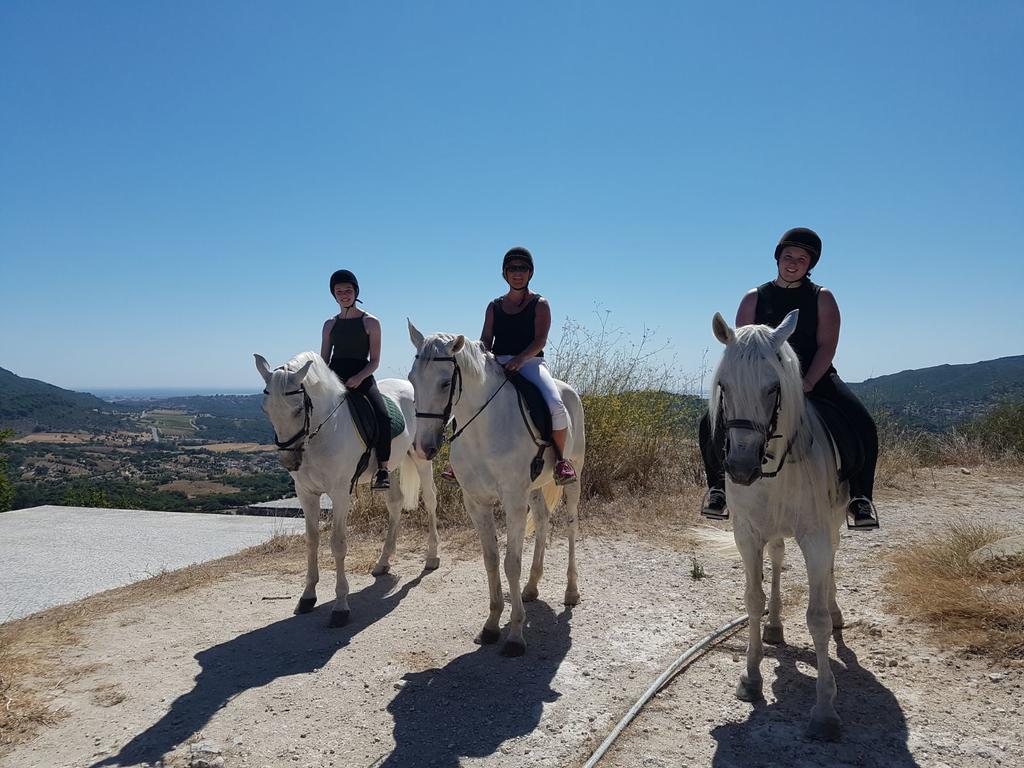 阿泽陶 Arrabida Heritage @Portugal Luxury Retreat旅馆 外观 照片